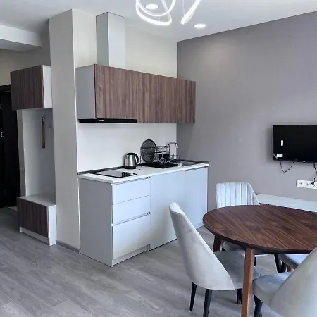 Cristal Woods - Apartment 205 Bakuriani Exterior photo
